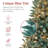 Lighted Christmas Tree