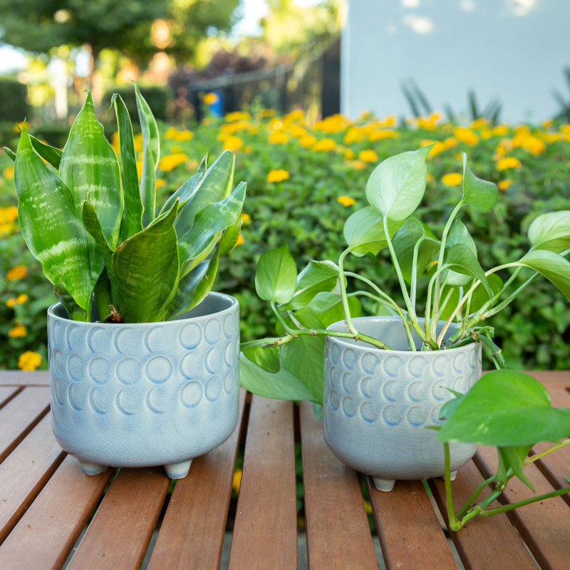 Escarlett Handmade Ceramic Pot Planter, Glass Blue