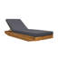 Chaise longue-1917608207