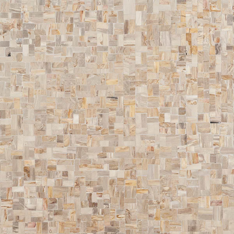 Fossil New Antique Petrified Stone Mosaic