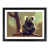 Black Framed selected