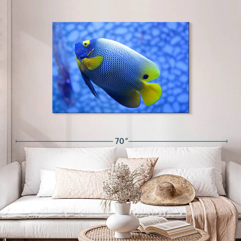 Angelfish bleu corail Brampt, H 30 po x l 45 po