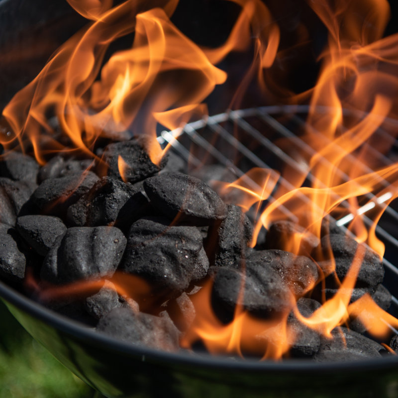 Barbecue au charbon 22,5 po Nexgrill