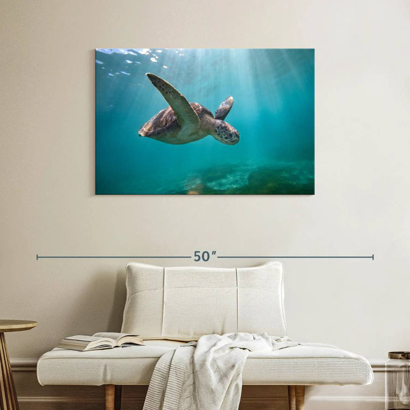 Tortue de mer Brampt Martinique, H 26 po x l 39 po
