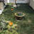 Solar Powered Integrated Led Metal Pathway Light