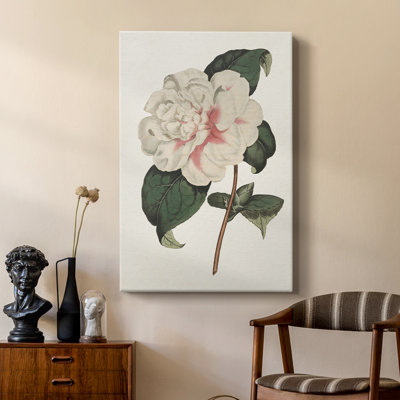 Mélange de fleurs roses - galerie Cavas
