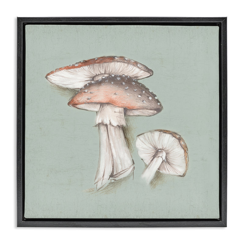 "Mushroom Bunch", art mural encadré sur toile flottante par Eli Jones, H 18 po x l 18 po, Cadre flottant noir de jais