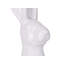 Aubriella Animals Bust