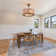 Beidleman 18" Ceiling Fan with Remote Control