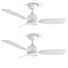 42'' Ceiling Fan With Led Lights (Set Of 2)
