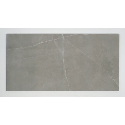 Sterlina Dove 24 in. x 47 in. Polished Porcelain Floor and Wall Tile (15.5 sq. ft./Case)