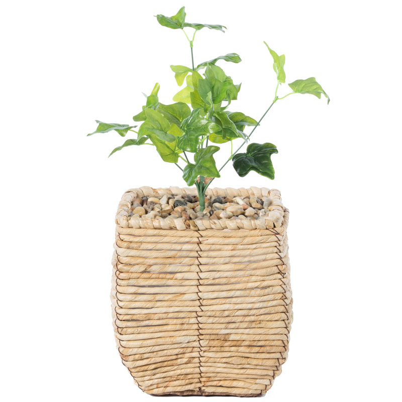 Mckenna Pot Planter, 7.5" H x 6.5" W x 6.5" D