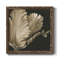 «Classical Blooms I», art mural sur toile-62718722-62718714