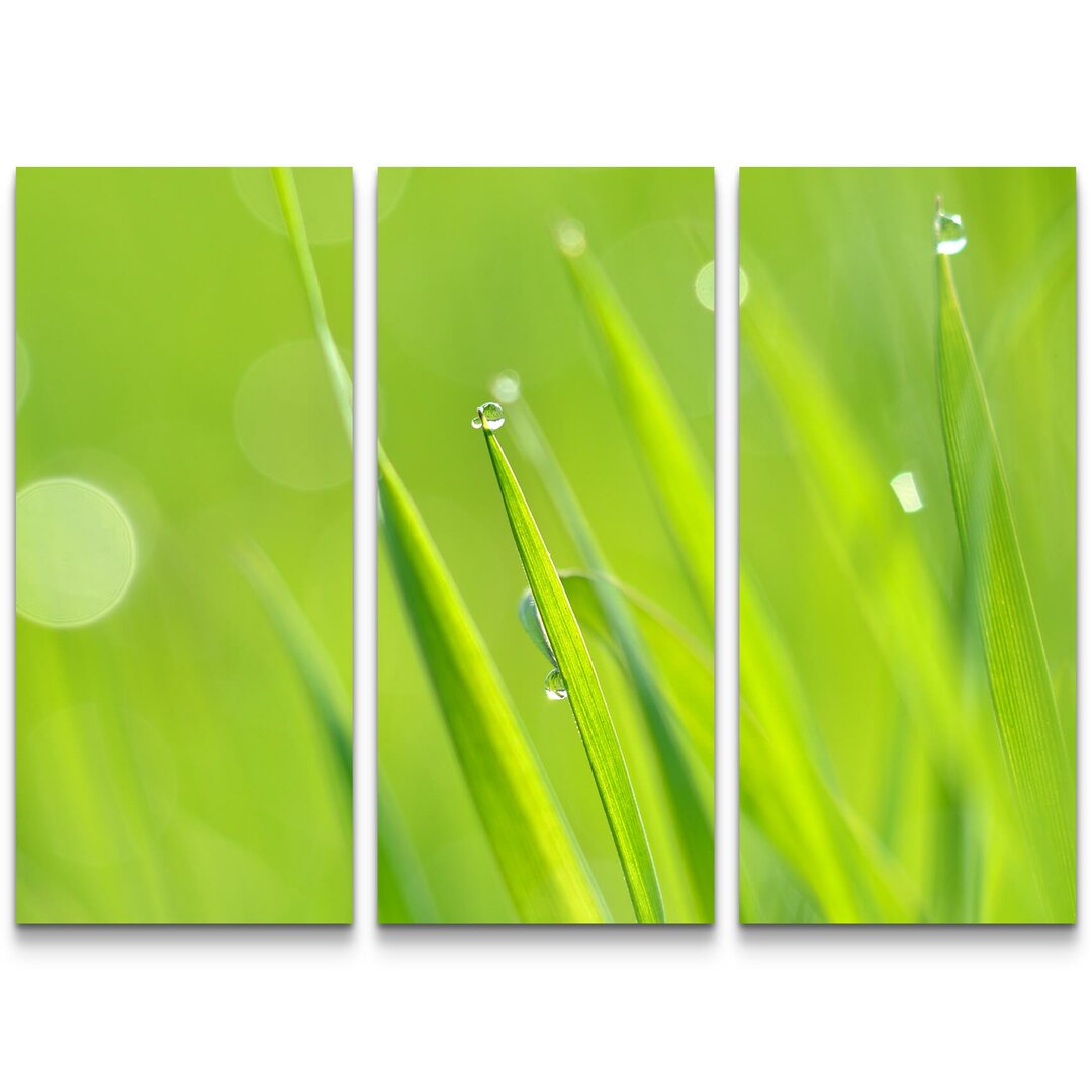 3-tlg. Leinwandbilder-Set Grass mit Tau