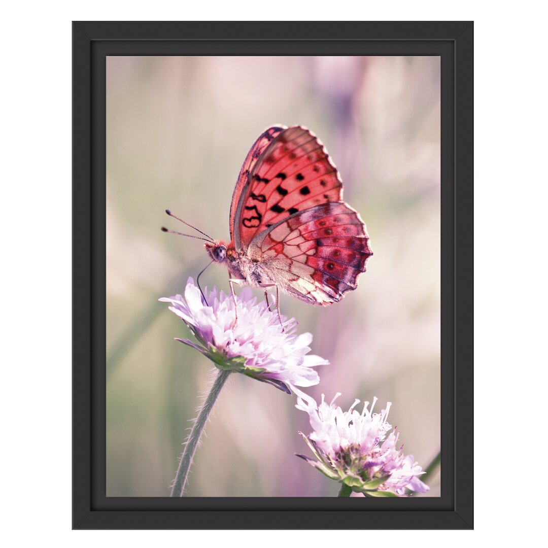 Gerahmtes Wandbild Bezaubernder Schmetterling