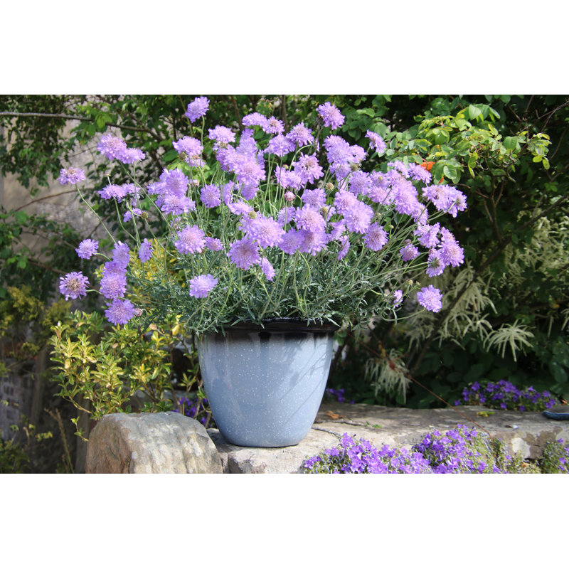 Sundhya Pot Planter, Grey Speckled/Black Gloss, 10.5cm H x 13cm W x 13cm D