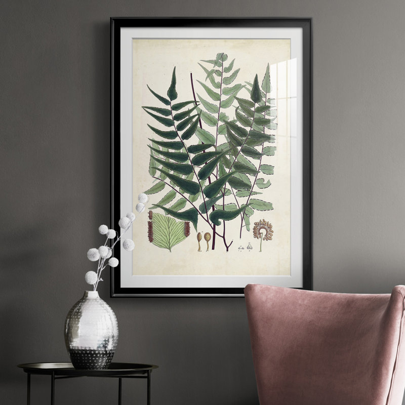 Collection Ferns VII - reproduction de cadre photo, H 36,5 po x l 26,5 po x P 1 po, Noir