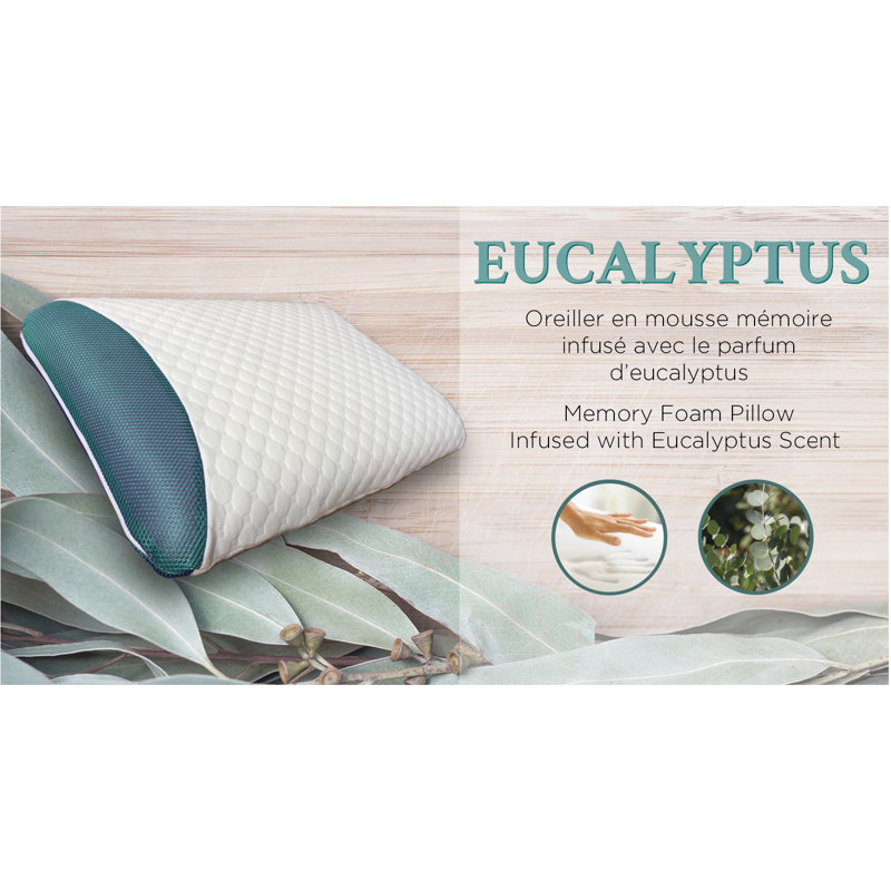 Oreiller en mousse viscoélastique imprégnée d'eucalyptus Kaspar