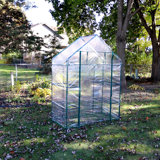 Gulianna 4.5' x 2' x 6.5' Outdoor Portable Walk-In Greenhouse with 4 Shelves with a Clear Cover