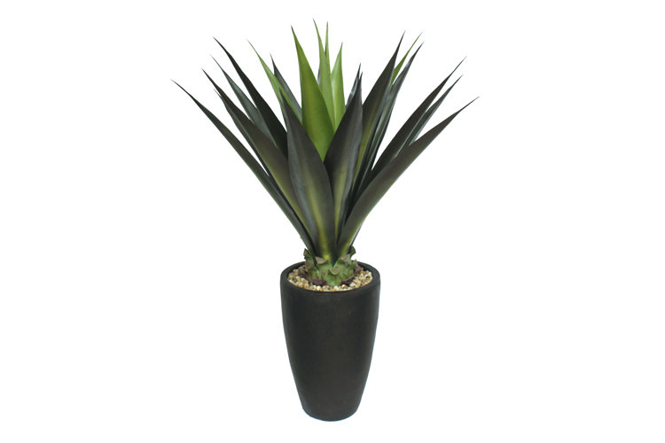 Tall High End Giant Aloe Floor Plant in Planter