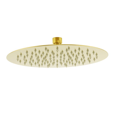 Rain Shower Head