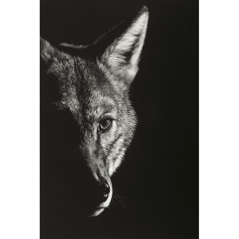 Black Glimpse VI by Julie T. Chapman - Wrapped Canvas Print, 46cm H x 30cm W