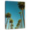 Harnek Palm Tree Rows
