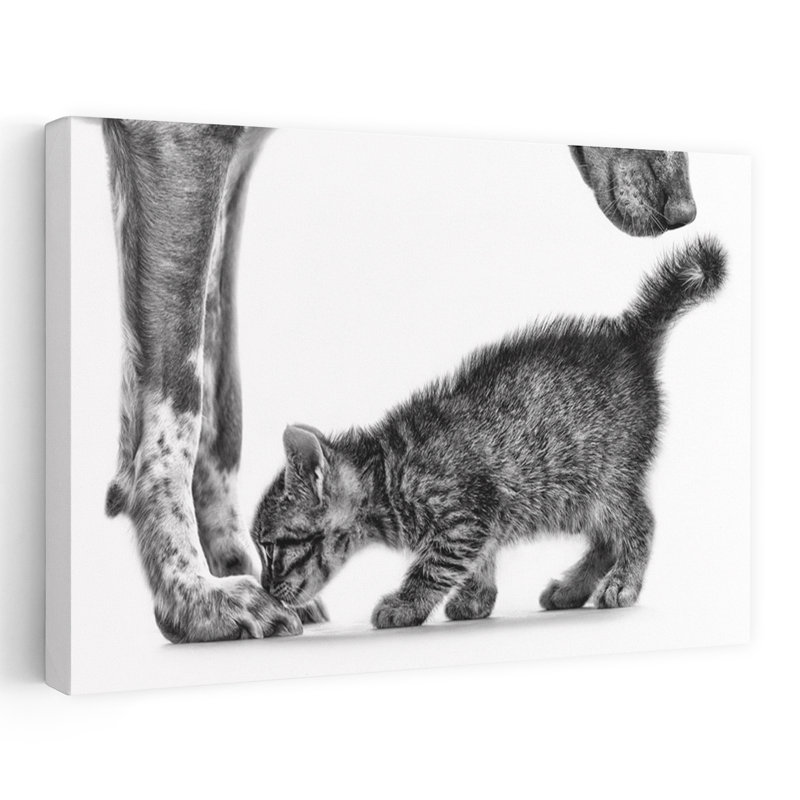 Gentle Dog Kitten Contemporary Cat Dog Wall Art Print, 60.96cm H x 91.44cm W