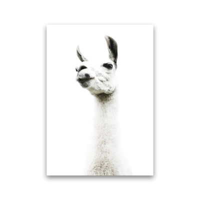 Llama II 1 Piece Wall Art