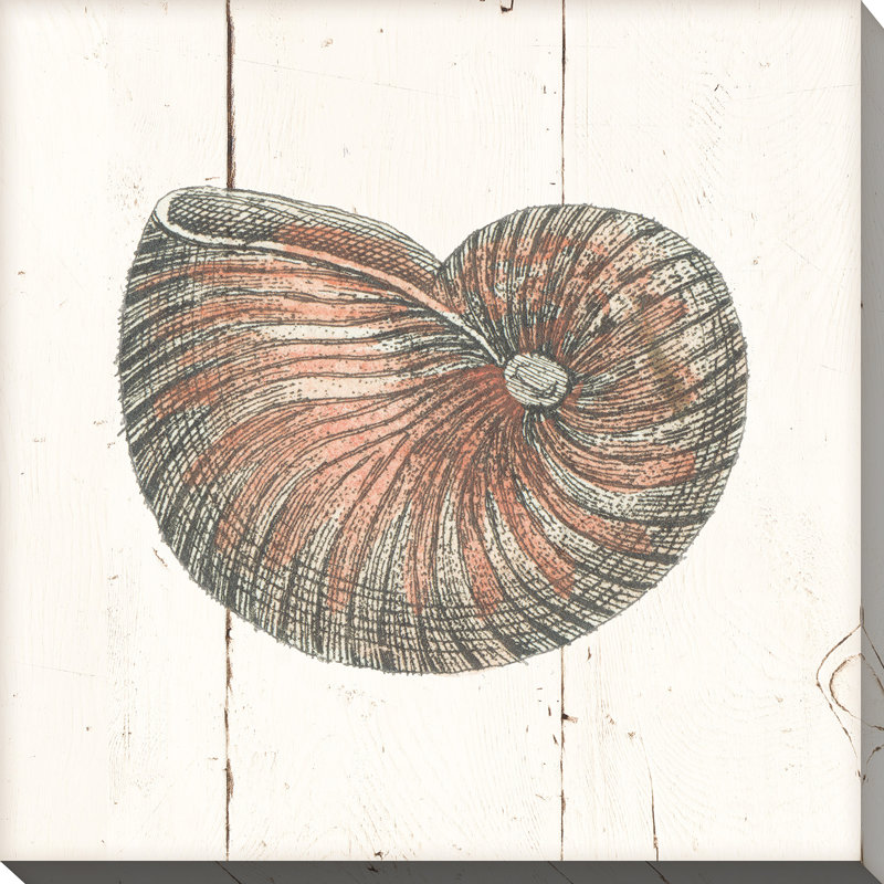 «Shell Sketches III Shiplap», reproduction de dessin, H 28 po x l 28 po x P 1,5 po, Toile tendue