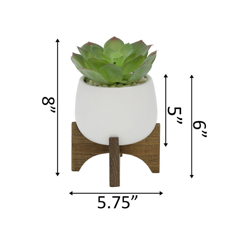 Agave en céramique en pot