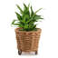 Mingenew Pot Planter