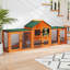 Small Animal Hutch