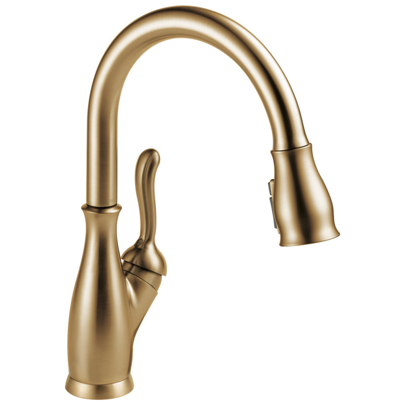 Robinet d'évier de cuisine avec douchette extractible Leland, Bronze champagne