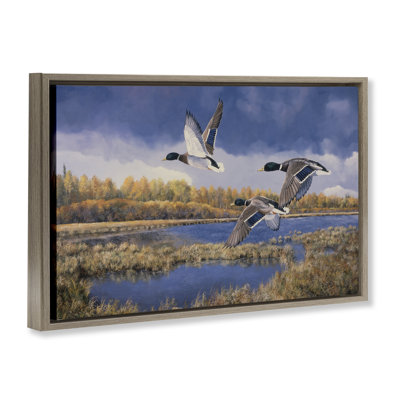 Ducks Heading South Framed Floater Canvas by Andrew Kiss