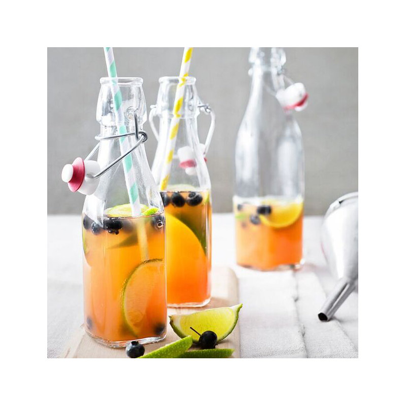 Bouteille Swing, 17 oz.