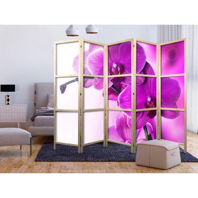 225cm W x 171cm H 5 - Panel Solid Wood Folding Room Divider