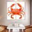 Joli crabe rouge Brampt