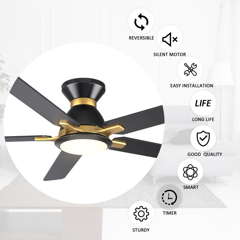 52" Smart Ceiling Fan with Light, Black, Black