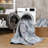 GLN Rugs Vintage Collection - Machine Washable Area Rug, Vintage Washable Rug, Non Slip Area Rug, Low Pile Living Room Rug, Bedroom Rug, Bathroom Rug - Easy Clean (Blue and Gray Area Rug)-1965013829