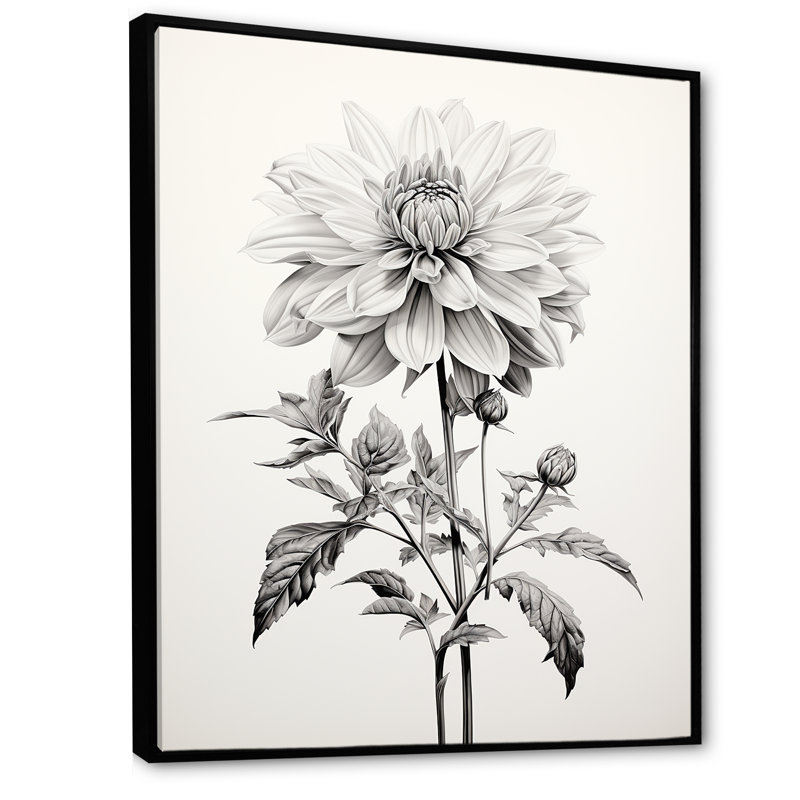 «Black and White Vibrant Dahlia Delight», reproduction sur toile, Cadre flottant noir, H 32 po x l 16 po x P 1 po