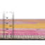 Tapis traditionnel jaune opie-505229281