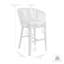 Tarah Acacia Wood, Aluminum, Rope, Fabric Outdoor 28'' Bar Stool with Cushion-1891358843-1891358842