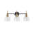 3-Light Modern Clear Glass Vanity Light