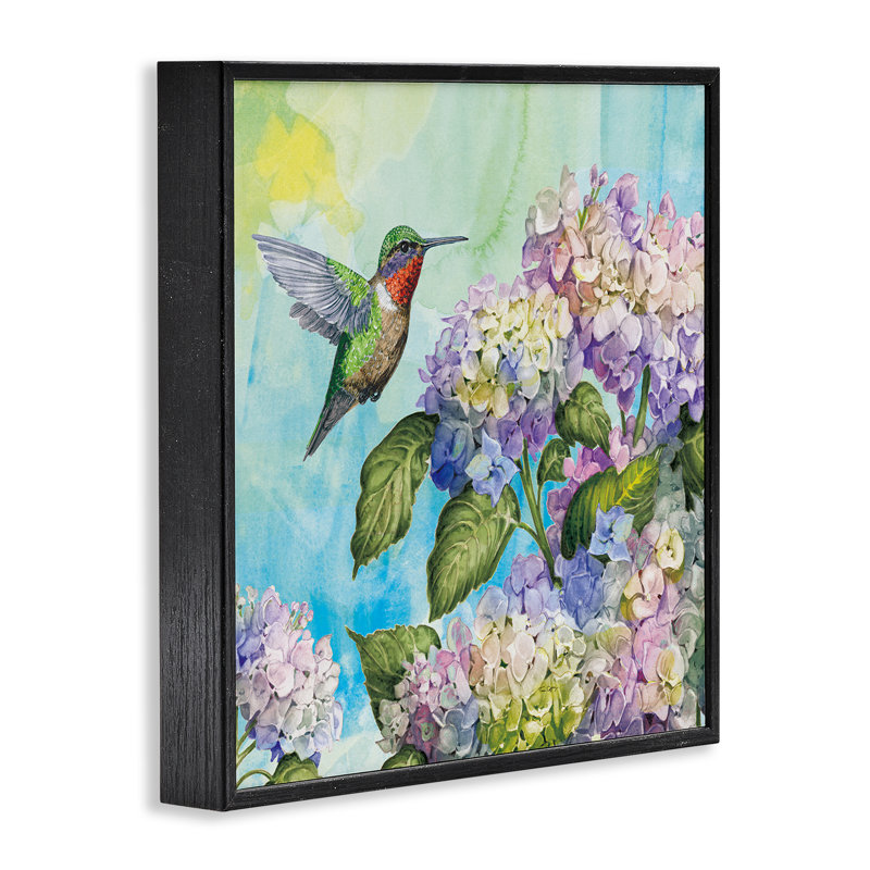 Colibri et hortensias, giclée encadrée, design par Tim Coffey, H 24 po x l 24 po, Giclée encadrée noir minuit