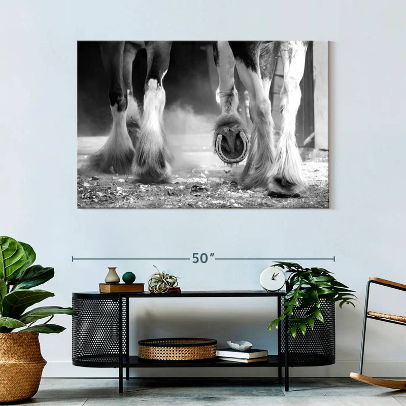 Brampt Clydesdale Horse Legs