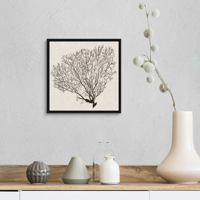 " Shadow Sea Fan IV " by Popp Grace