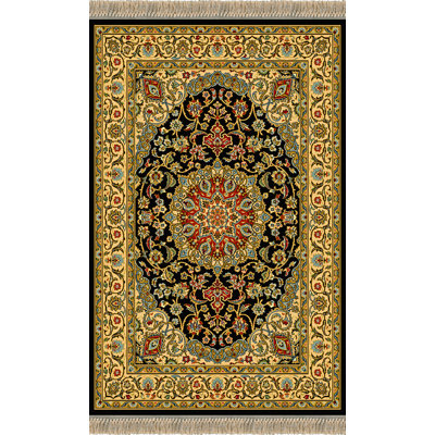 Oriental Wool Area Rug