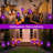Solar Luminary & Pathway Lights