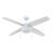 Memphis 52" Ceiling Fan with LED Light